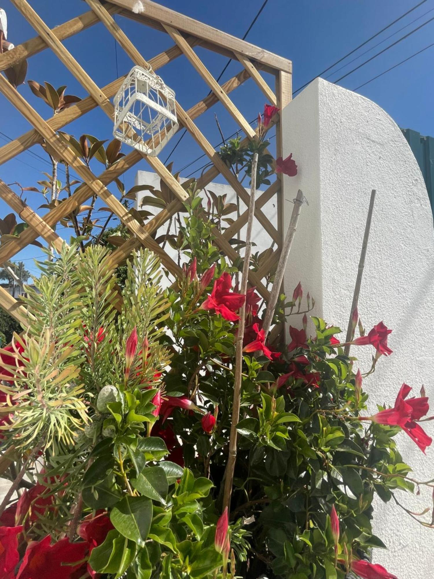 Casa Patio Country House Enxara do Bispo Екстер'єр фото
